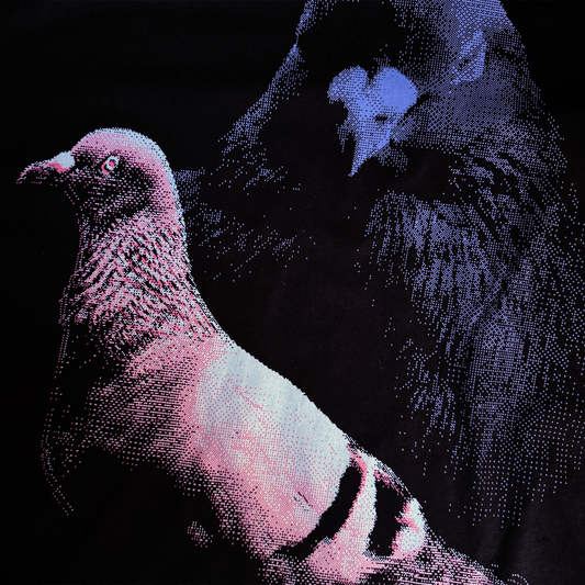 It's Just A Pigeon - Unisex T-shirt